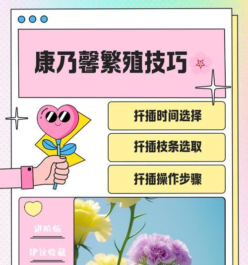 康乃馨凋谢后的修剪方法是什么？