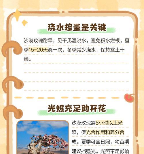 玫瑰种植需要注意哪些事项？如何确保玫瑰茁壮成长？