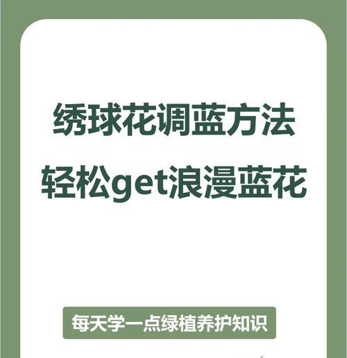 如何将绣球花变蓝？需要哪些条件和步骤？