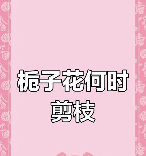栀子花修剪的最佳时间是什么时候？