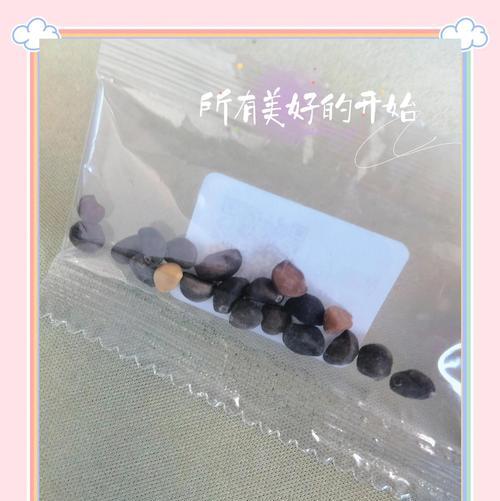 牵牛花摘心怎么摘？牵牛花摘心的正确步骤是什么？