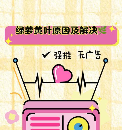 绿萝叶子发黄的原因是什么？