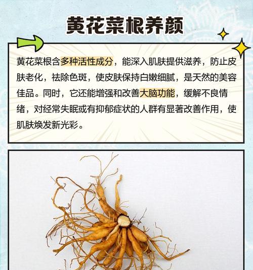 黄花菜和萱草的区别是什么？如何正确判别？