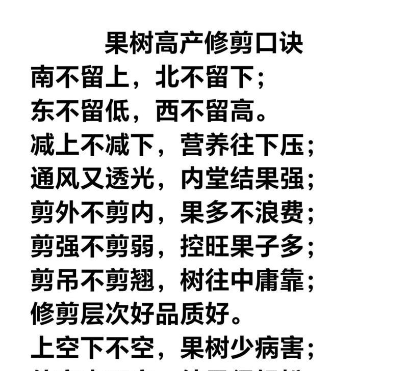树木修剪有哪些技巧？如何正确修剪树木？