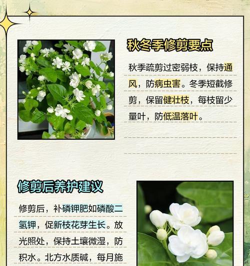 花草修剪的方法有哪些？如何正确修剪？