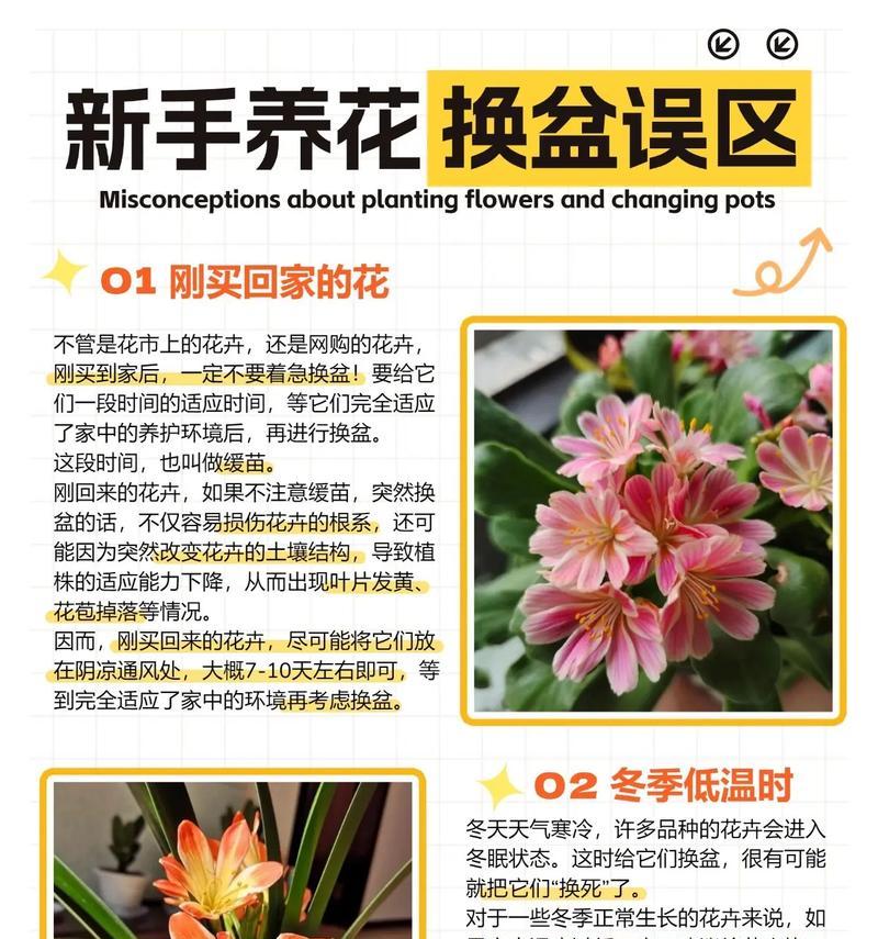 盆栽土壤配制的正确方法是什么？