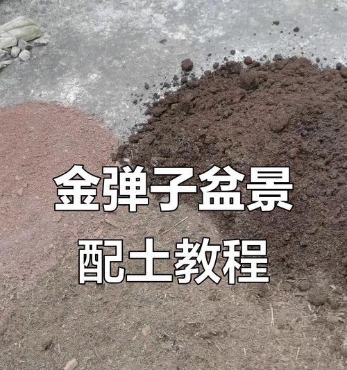 盆栽土壤配制的正确方法是什么？