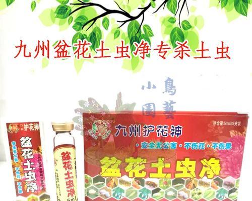绿萝土里出现虫子怎么办？如何有效处理？