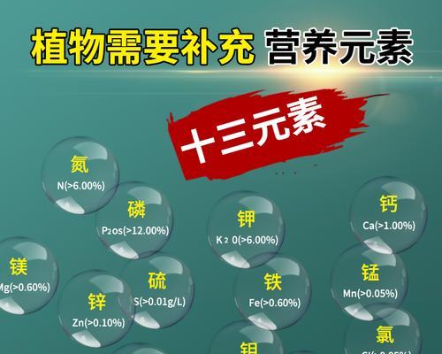 驱蚊草繁殖技巧有哪些？
