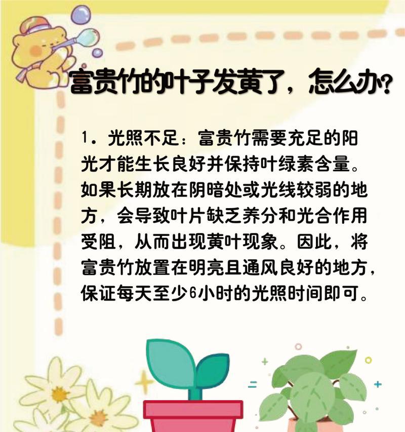富贵竹叶子变黄怎么办？富贵竹叶子变黄的原因和解决方法是什么？