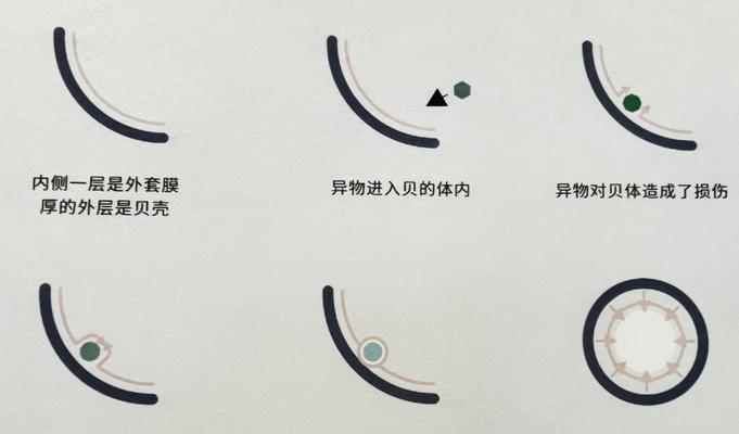 珍珠养殖的步骤和技巧是什么？