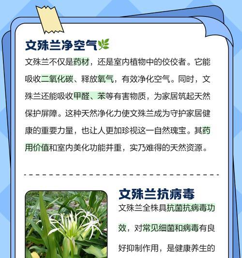 文殊兰品种的花语是什么？文殊兰品种的养护方法是什么？