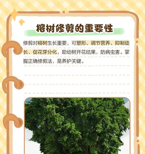 榕树施肥技巧有哪些？榕树施肥的最佳时间是什么时候？