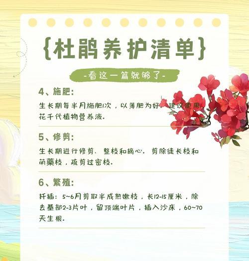 浇花的最佳时间是什么时候？