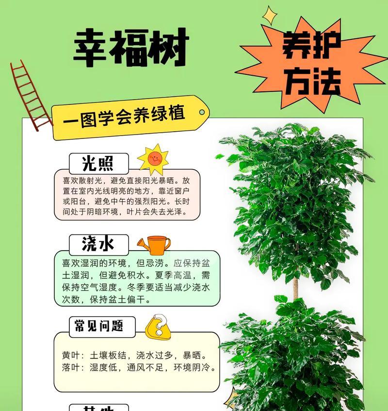 怎么让树苗成活？树苗种植的正确方法是什么？