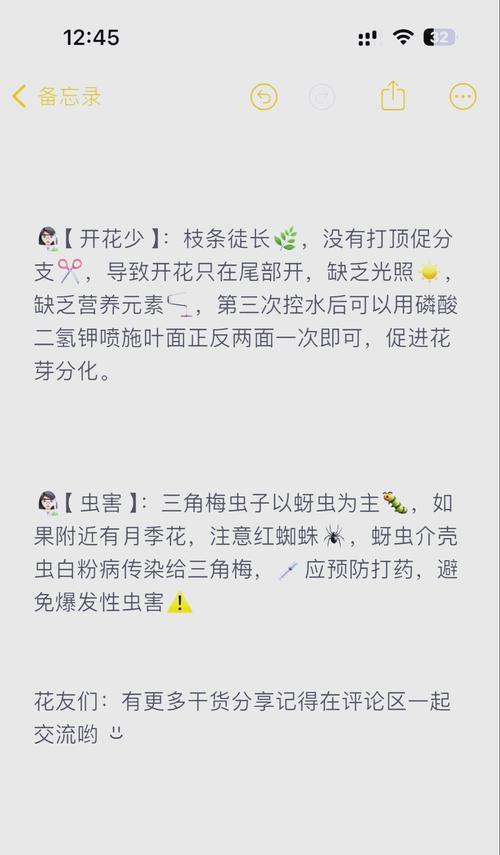 三角梅开花期间如何正确浇水？