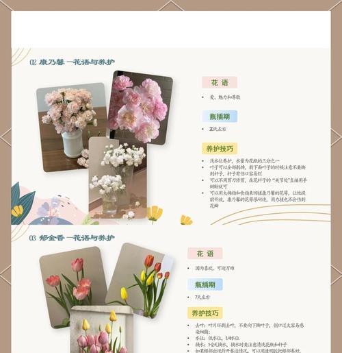 铁兰花繁殖技巧有哪些？如何确保成活率？
