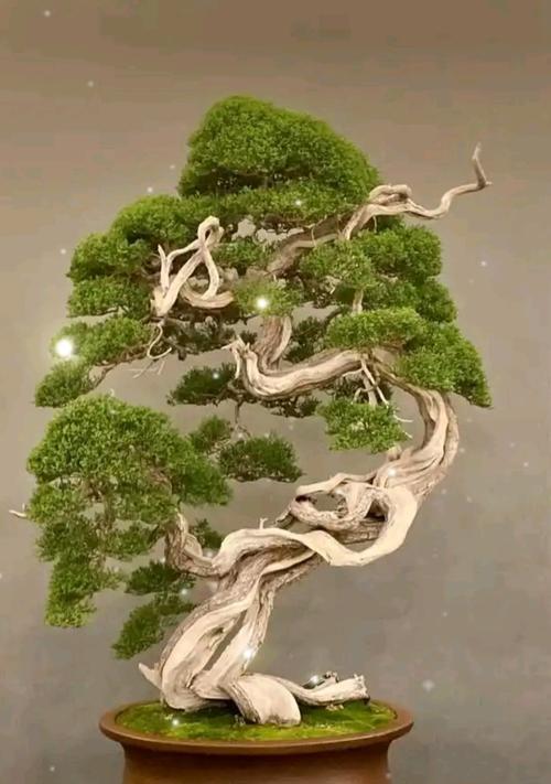 梅花修剪的最佳时机是什么时候？如何正确修剪梅花？
