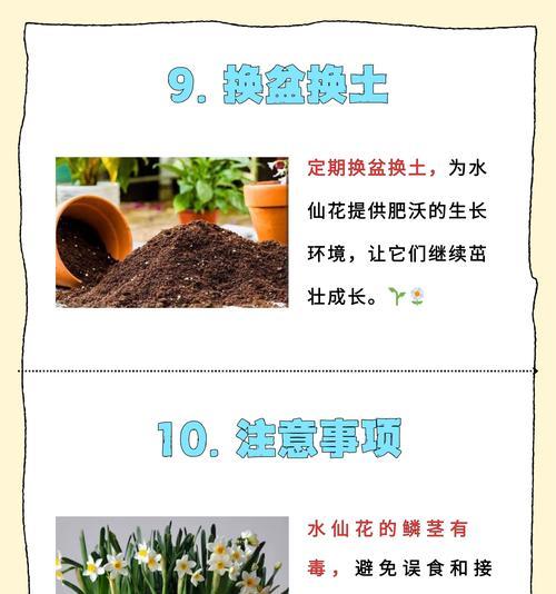 水培花卉的正确步骤和技巧有哪些？
