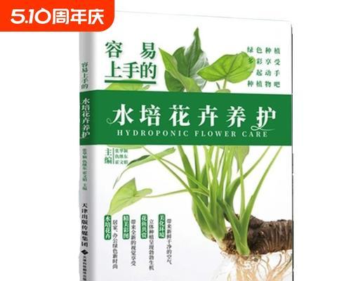 水培花卉的正确步骤和技巧有哪些？