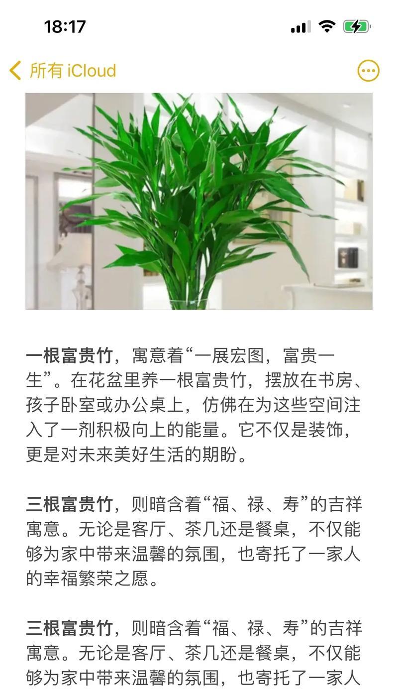 富贵竹转运竹的养殖方法是什么？需要注意什么？