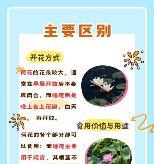 家里养莲花的正确方法是什么？
