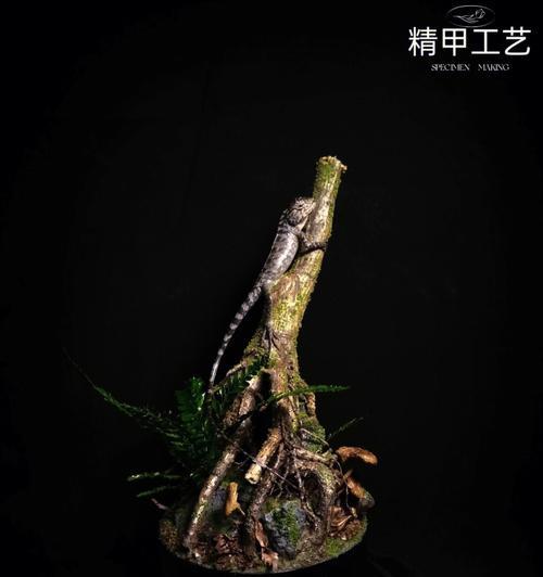 树木在生态系统中扮演什么角色？