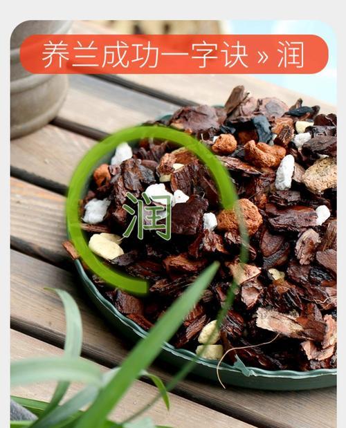 君子兰花土的配制方法是什么？怎样才能满足君子兰的生长需求？