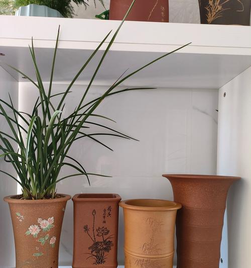 兰花种植应该选择哪种盆器？兰花盆的选择标准是什么？