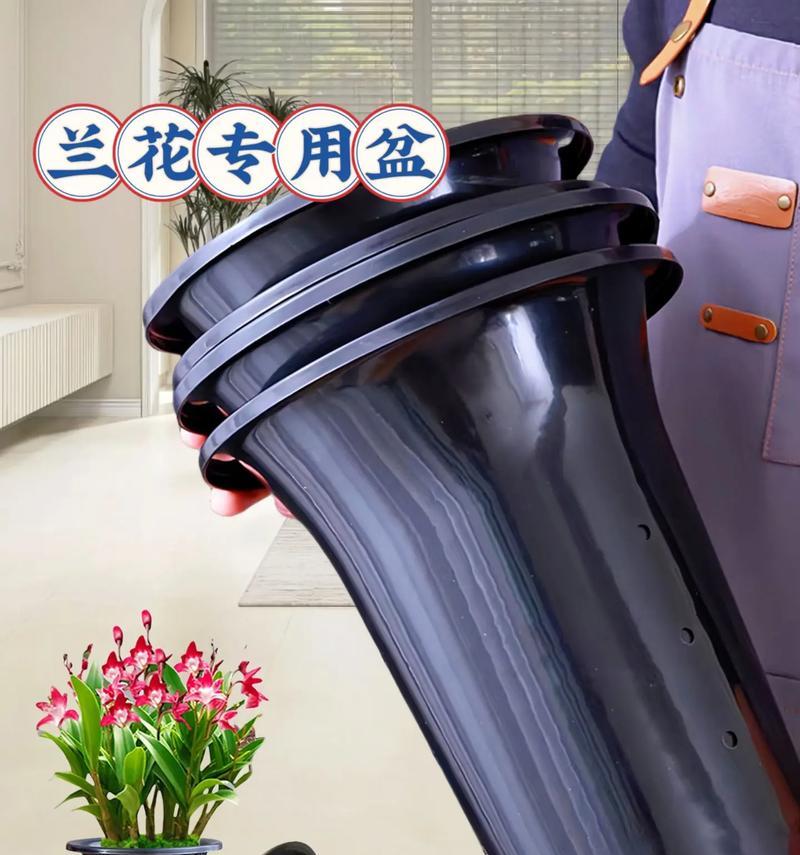 兰花种植应该选择哪种盆器？兰花盆的选择标准是什么？