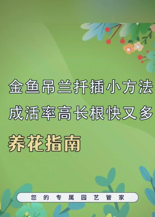 金鱼吊兰水养技巧有哪些？如何保持水质？
