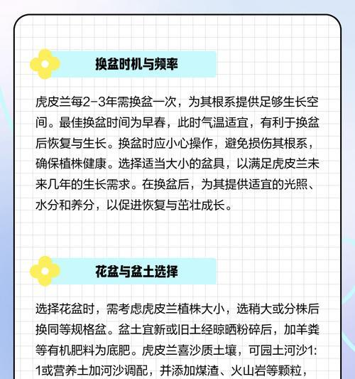 花什么时候换盆？换盆的最佳时机是什么时候？
