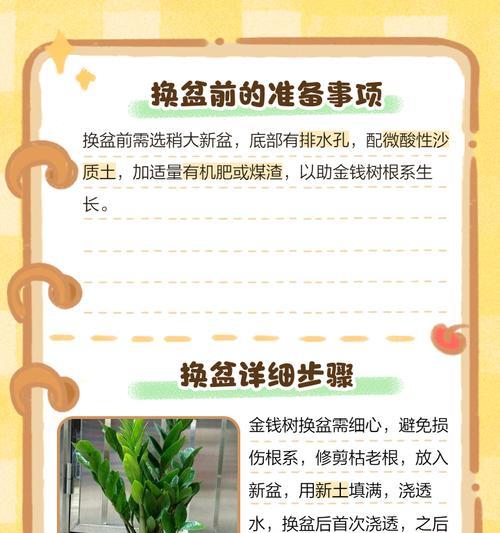 花什么时候换盆？换盆的最佳时机是什么时候？