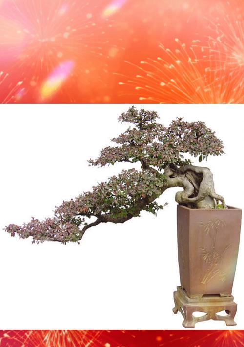 盆景制作的步骤和技巧是什么？