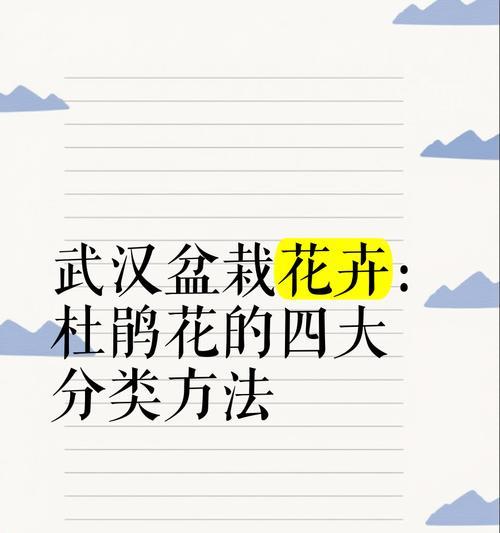 杜鹃怎么养花？杜鹃花的养殖技巧和常见问题解答？