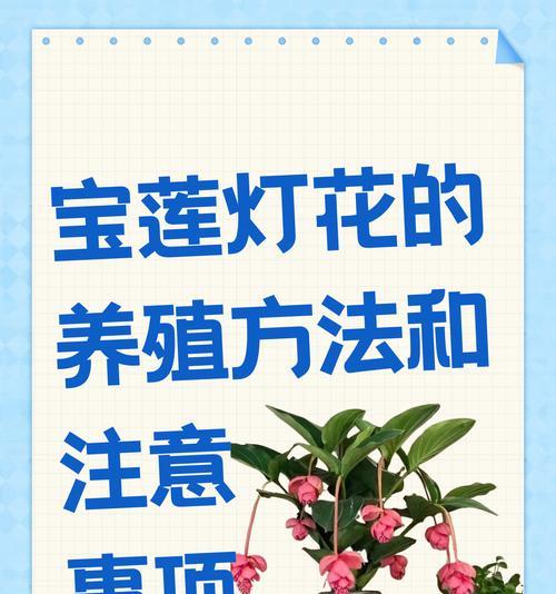腐叶土的制作方法是什么？腐叶土的制作需要注意什么？