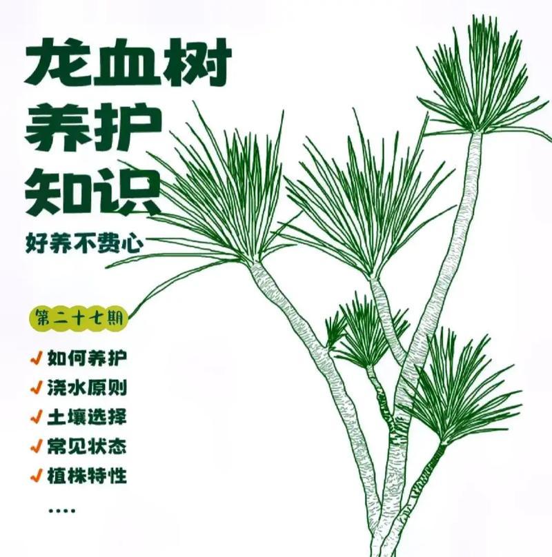 花卉管理的基本技巧和常见问题是什么？