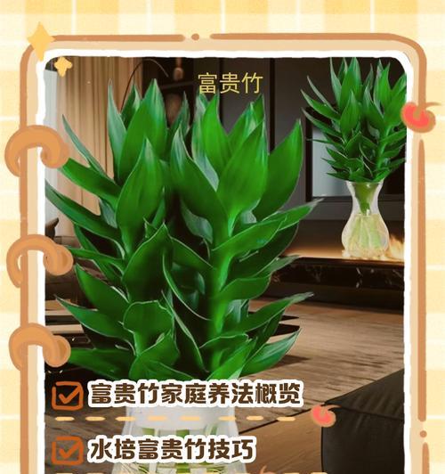 富贵塔竹怎么做？富贵塔竹的制作方法和养护要点是什么？