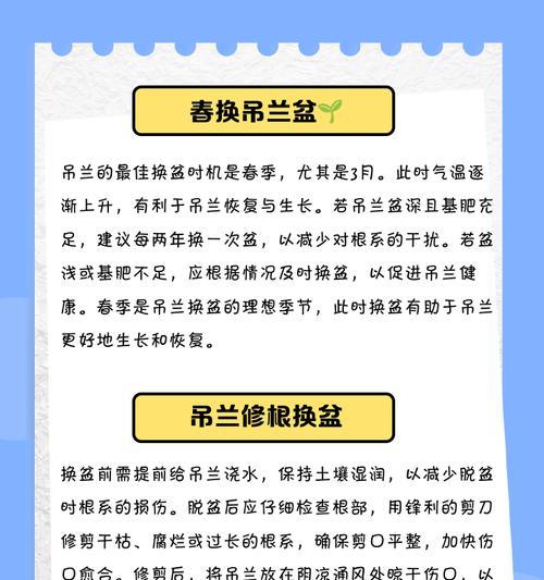 吊兰移栽的最佳时间和步骤是什么？