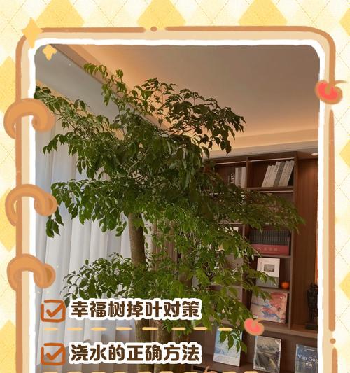 幸福树叶子发黄的处理方法是什么？