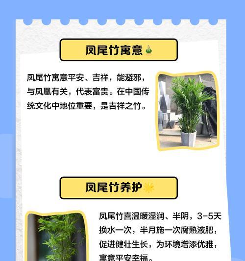 凤尾竹的养殖技巧和注意事项？