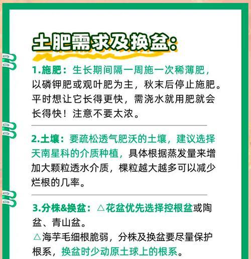 海芋花的养护技巧有哪些？