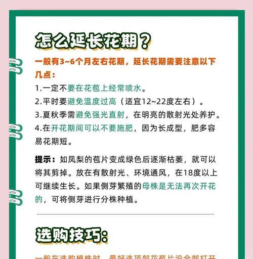 凤梨花繁殖的正确步骤是什么？如何繁殖？
