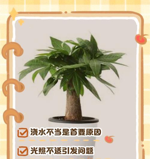 植物叶子发黄的原因及解决方法？
