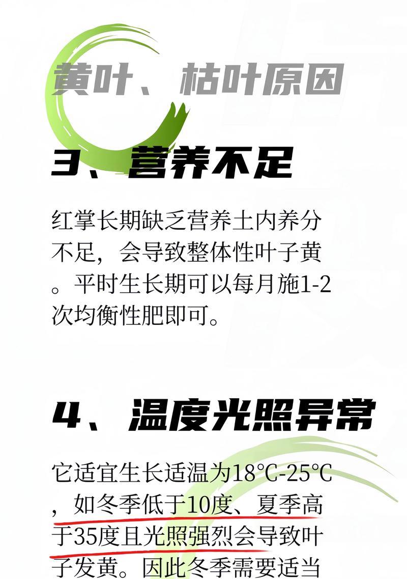 植物叶子发黄的原因及解决方法？