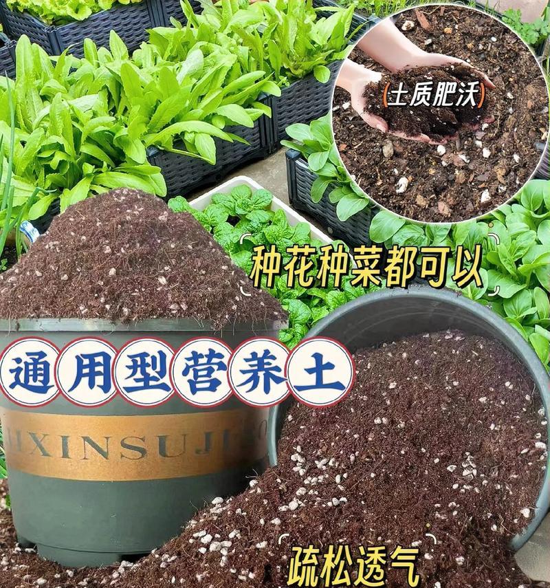 阳台种菜土壤调配的正确方法是什么？