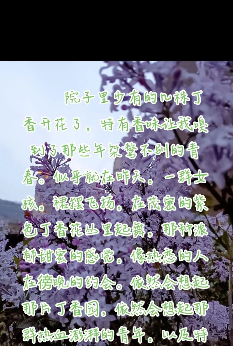 丁香花的养护要点有哪些？如何避免丁香花落叶？