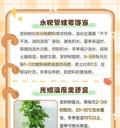发财树怎么养？有哪些技巧可以让它茁壮成长？