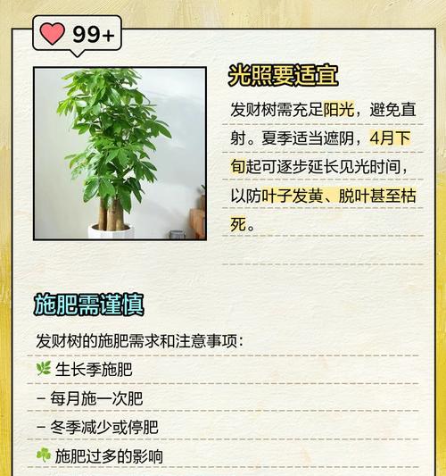 发财树怎么养？有哪些技巧可以让它茁壮成长？