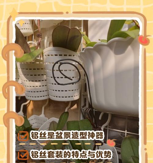 金属丝盆景制作的步骤和技巧是什么？